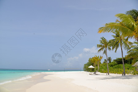 马尔代夫芙拉瓦丽度假岛背景