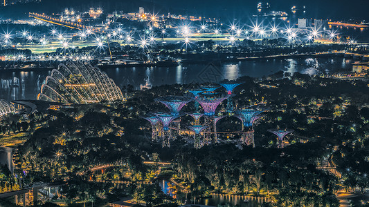 新加坡滨海湾公园夜景高清图片