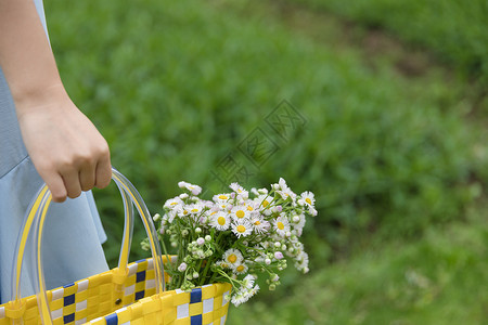 手提篮子森系女孩手提花篮特写背景