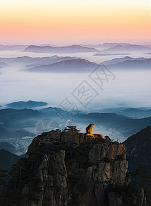 敲锣猴子黄山猴子观海背景