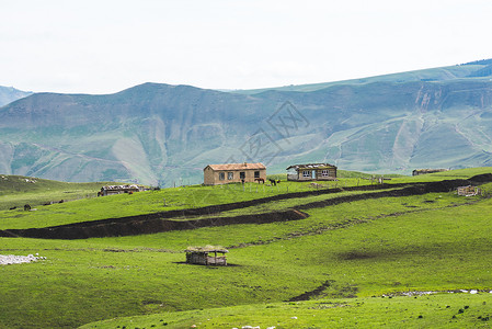 新疆天山牧区牧业牲畜生产背景图片