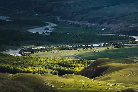 新疆天山牧场草原草场牧区牧业线条素材背景背景