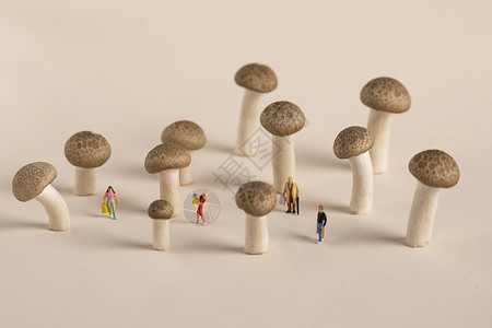微距蘑菇创意微距小人背景