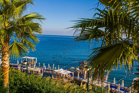 海岛椰子树度假冲浪塞浦路斯merit集团酒店背景