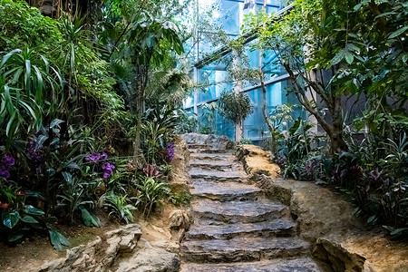 室内养殖室内植物园背景