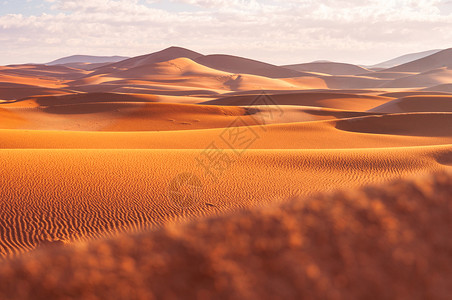 撒哈拉沙漠背景图片