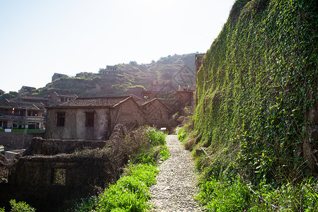 枸杞岛无人村图片