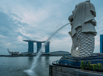 新加坡狮头鱼尾像背景