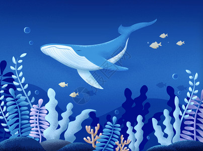 鲸鱼与少年插画海底鲸鱼背景