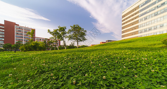 华东理工大学校园草坪高清图片