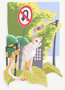 禁止掉头标识一只在城市的猫咪插画
