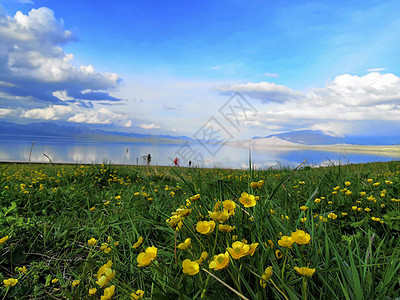 赛里木湖北疆博乐市高清图片