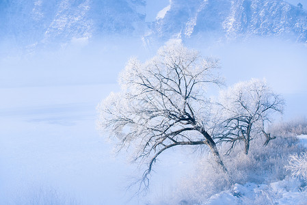 冬天雾凇窗边雪景图片素材