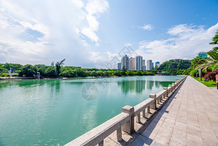 港澳通行厦门筼筜湖公园风光背景