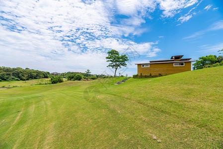高尔夫球场草地背景图片