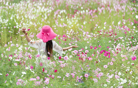 鲜花美女花海美女背影背景