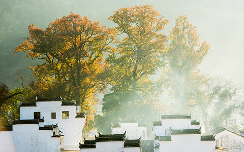 小微贷乌镇周庄自然风景背景