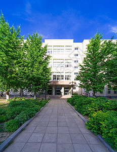 北京科技大学背景图片
