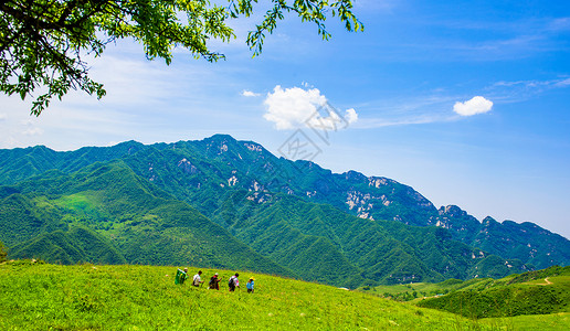 观花秦岭徒步观大美风光背景