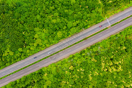 航拍树木环绕的高速公路背景