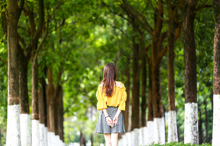 小清新夏至小清新美女背影背景