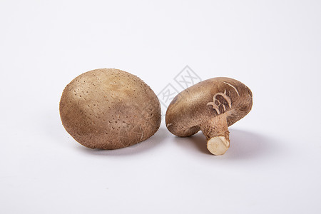 香菇ps素材蘑菇香菇背景