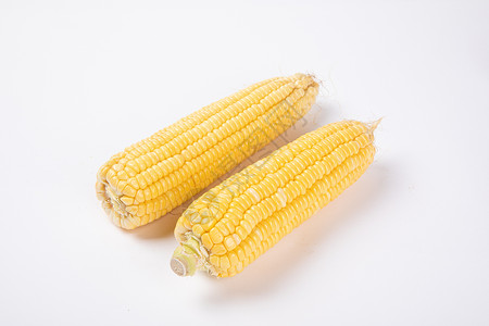 玉米素材高清图片素材