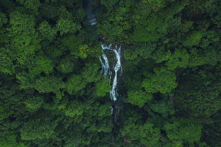 瀑布森林桂林黄沙瀑布航拍背景