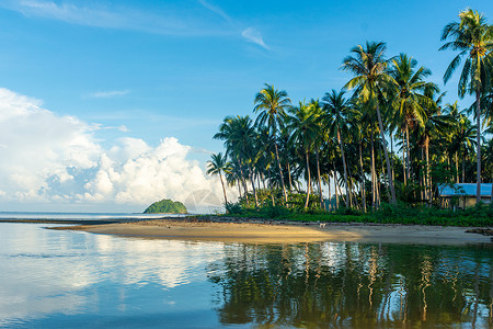 椰子树LOGO海边风光背景