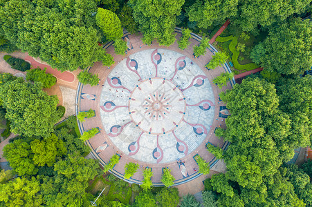 运动设计城市楼盘小区中央花园背景