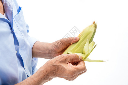 农民伯伯剥玉米背景图片