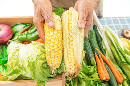 健康农产品拿着蔬菜的双手背景