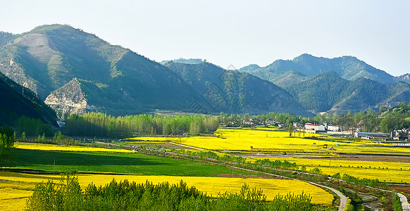 新农村油菜花海意境高清图片素材