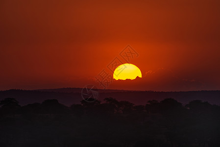 非洲丛林日出阳光高清图片素材