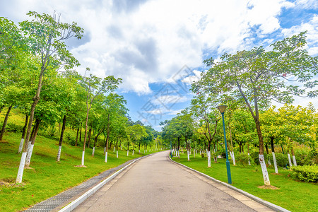 东极岛道路小径园林道路背景