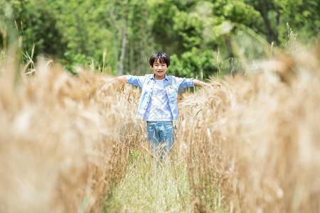 小男孩稻田奔跑图片