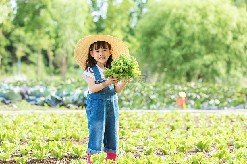 小女孩农场摘蔬菜