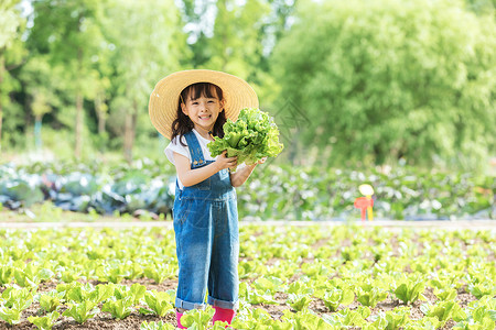 儿童节快乐女孩小女孩农场摘蔬菜背景