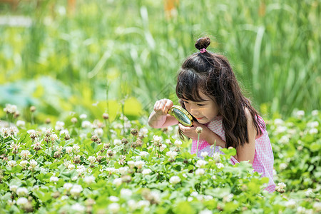 观察露珠的女孩小女孩农场观察植物背景