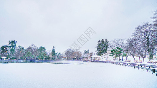 北海道旭川城市公园图片