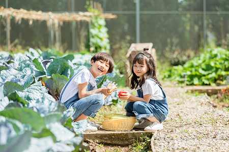 儿童节快乐女孩小朋友农场采摘背景