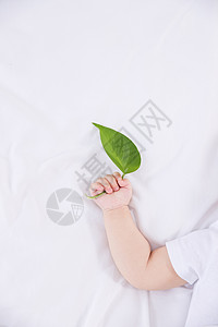婴儿手拿绿叶特写健康高清图片素材