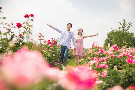 情侣花海青年情侣户外郊游背景