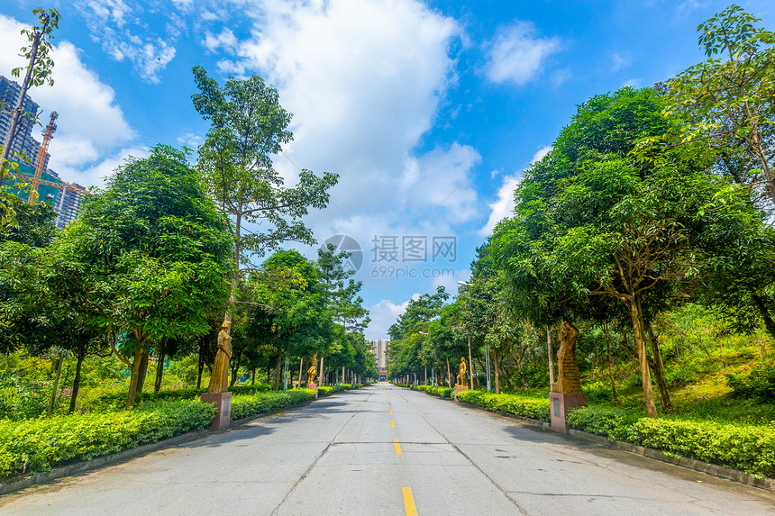 陵园道路图片