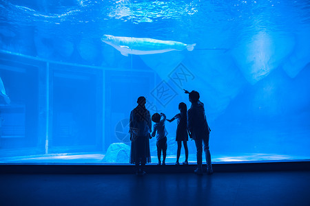 海洋馆标志年轻家庭参观海洋馆背影背景