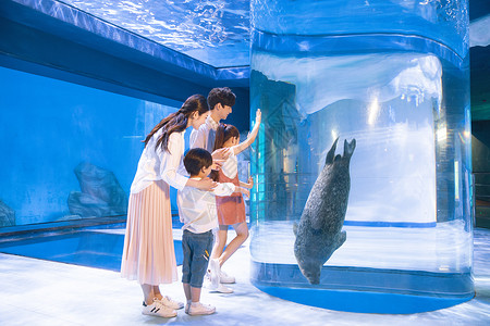 手绘亲子企鹅年轻家庭参观海洋馆背景