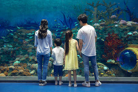 年轻家庭参观海洋馆背景图片
