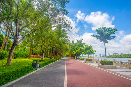 林荫道道路绿化高清图片