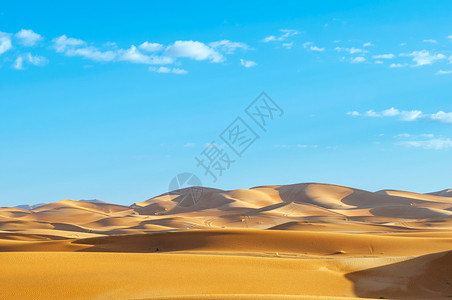 沙漠沙丘撒哈拉沙漠背景