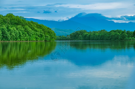 沙巴红树林风景高清图片